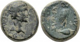 PHRYGIA. Synnada. Germanicus (Died 19). Ae. Andragathos, philokaisar. Possibly struck under Tiberius.
