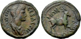 CARIA. Tabae. Plotina (Augusta, 105-123). Ae.