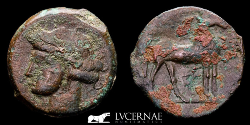 Hispania - Carthaginians, bronze calco (6.22 g. 23 mm.). 215-201 B.C.

Head of T...