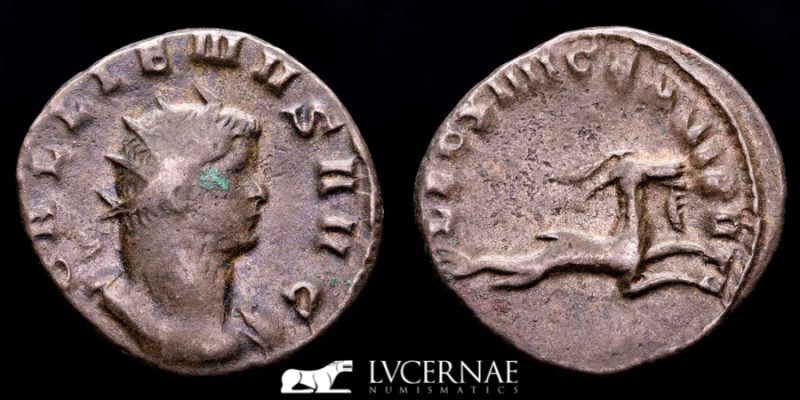 Roman Empire - Gallienus (AD 253-268). Æ Bronze atoninianus - Mediolanum (Milan)...