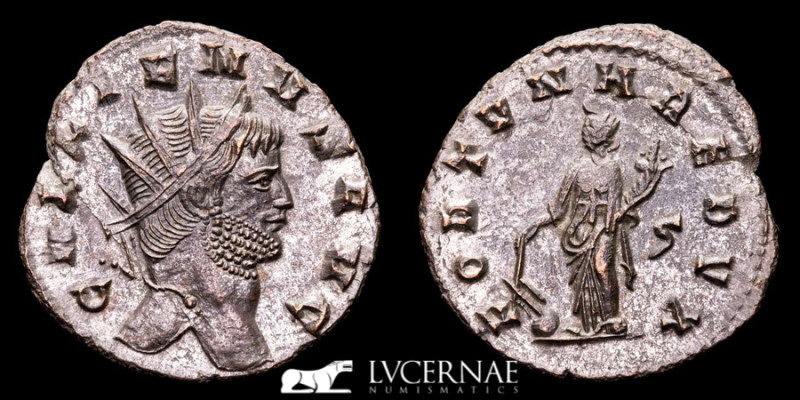 Roman Empire - Gallienus in the sole reign, 260-268. - Silvered Bronze Antoninia...