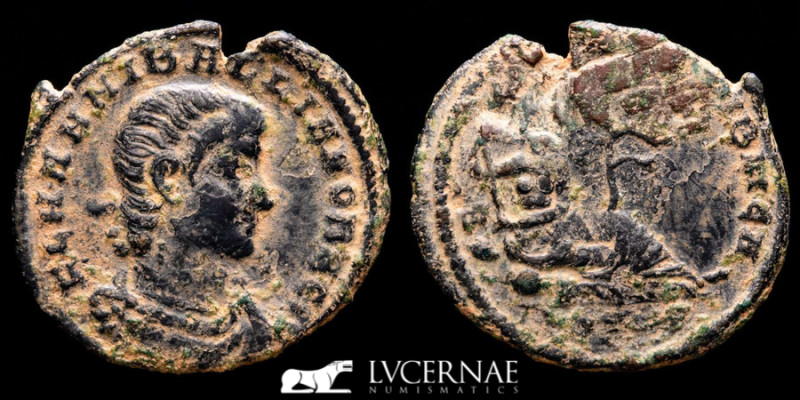 Roman Empire - Hannibalianus, 335-337 A.D. Bronze follis (1.30 g. 17 mm. ), Cons...