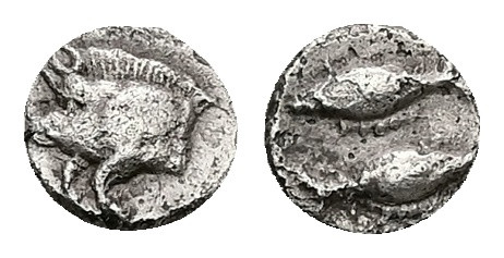 Mysia, Kyzikos. AR Tetartemorion, 0.29 g 6.40 mm. Circa 450-400 BC.
Obv: Forepar...