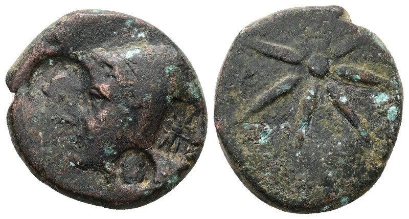 Pontos, Uncertain,(Amisos?) Ae, 21.00 g 28.31 mm. Circa 130-100 BC.
Obv: Male he...