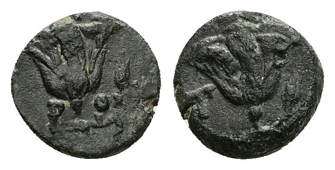 Caria, Rhodes. Ae, 0.99 g 10.01 mm. 205-190 BC.
Obv: PO, Rose. 
Rev: Rose.
Ref: ...