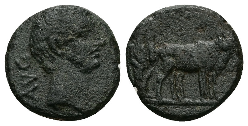 Macedon, Philippi. Augustus, 27 BC-AD 14. AE. 3.70 g. 18.15 mm.
Obv: AVG. Bare h...