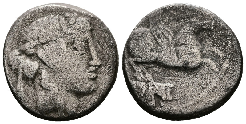 Q. Titus, 90 BC. AR, Denarius. 3.06 g. 15.89 mm. Rome.
Obv: Head of Liber, right...