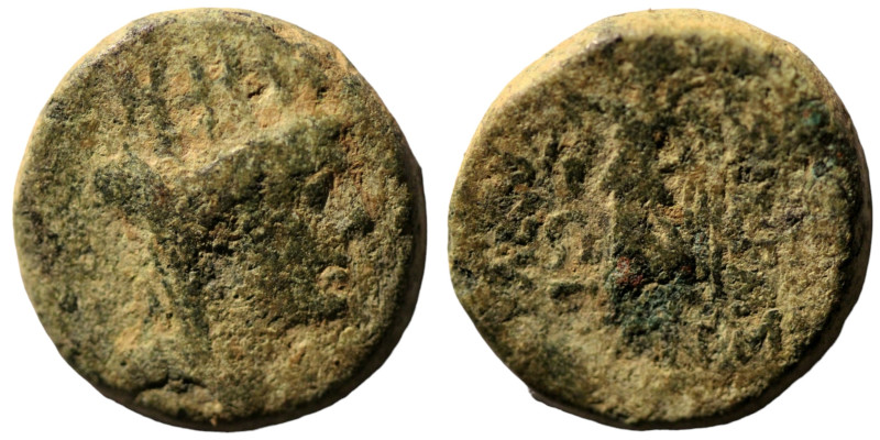 Syria. Apameia. (39-38 BC). autonomous Æ Tetrachalkon. (19mm, 6,65g). Antioch.