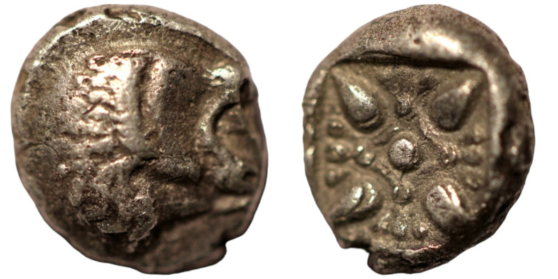 Ionia. Miletos. (6th Century BC) AR Diobol. (9mm, 1,10g) Obv: head of lion left....