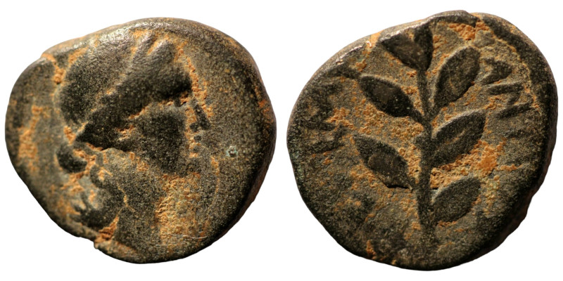 under Nero. (50-60AD). Pseudo-autonomous Bronze . (16mm, 3,23g). Antioch.