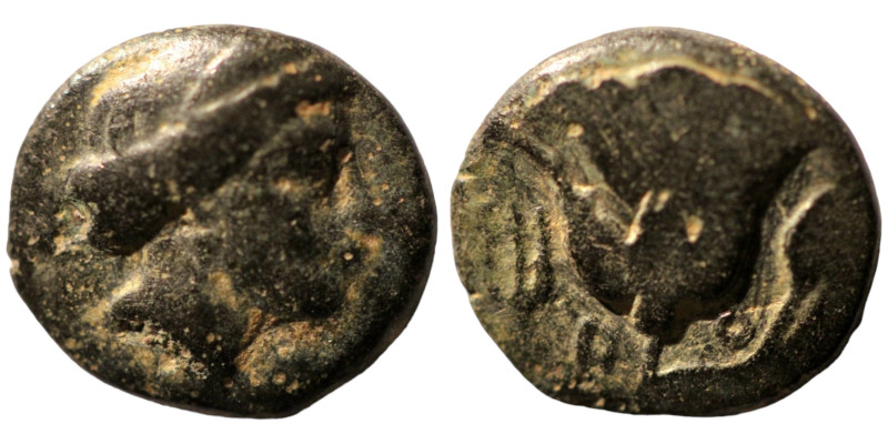 Rhodos. (400-350 BC) Bronze Æ. (11mm, 1,29g) Obv: head of Nymphe right. Rev: ros...