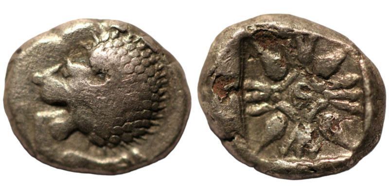 Ionia. Miletos. (6th Century BC) AR Diobol. (10mm, 0,83g) Obv: head of lion left...