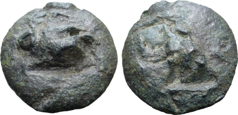 Apulia, Luceria Cast, c. 225-217 BC. Æ Uncia (25.66g, 27mm, 9h). Frog. R/ Corn-e...