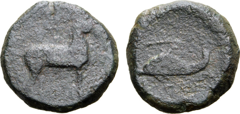 Apulia, Salapia, c. 275-250 BC. Æ (18mm, 5.75g). Horse prancing to right; illegi...