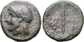 Sicily, Syracuse. Roman rule, late third - early second century BC. Æ (2.52g, 14mm, 6h). Laureate head of Apollo to left R/ Torch, ΣYP-AKO-ΣIΩN across...