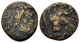 Cimmerian Bosporos, Pantikapaion, c. 310-304/3 BC. Æ (18,5mm, 6g). Bearded head of satyr r. R/ Forepart of griffin l.; below, sturgeon l. Anokhin 1023...