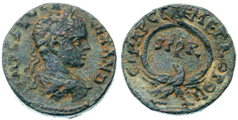 Samaria, Caesarea Maritima. Severus Alexander. Æ (13.52 g), AD 222-235 IMP C SEV...