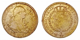 Carlos IV. 2 Escudos. AV. Madrid FA. 1804. 6.73g. Cal.347. Rayitas y hojitas. MBC-.