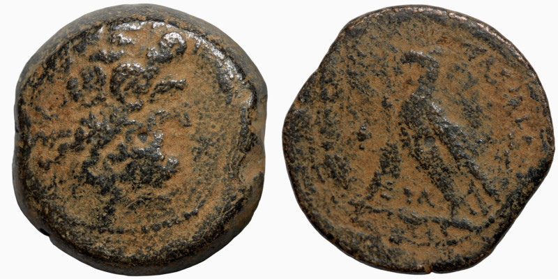 EGYPT - LAGID OR PTOLEMAIC KINGDOM - PTOLEMY II
23mm 11,10g