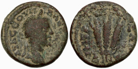 Roman coin
19mm 6,62g