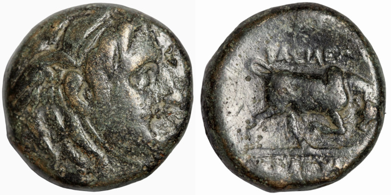 Greek
17mm 7,38g