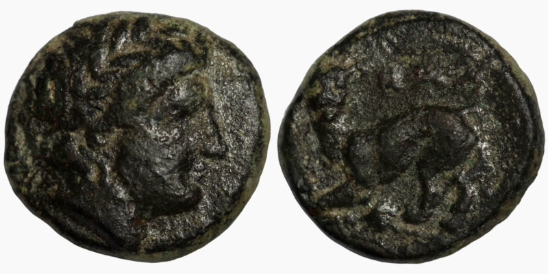 Greek
8mm 0,79g