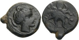 Sizilien. 
Syrakus. 
AE Tetras, nach 425 v. Chr. Kopf der Nymphe Arethousa mit hochgebundenen Haaren n. r., dahinter Delphin, davor SURA (rückläufig...
