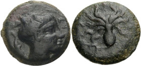 Sizilien. 
Syrakus. 
AE Tetras, ab 425 v. Chr. Kopf der Nymphe Arethousa mit hochgebundenen Haaren n. r., dahinter Delphin, davor SVPA. Rv. Oktopus....
