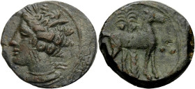 Sizilien. 
Sikulopunier. 
Kleinbronze, ca. 300-275 v. Chr. Kopf der Tanit mit Ähren und Ohrring n.l. Rv. Pferd n. r. vor Palme stehend, davor drei W...
