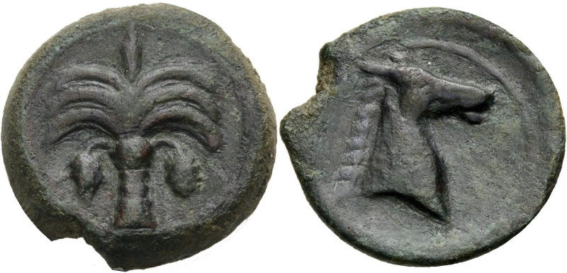 Sizilien. 
Sikulopunier. 
Bronze, ca. 340-320 v. Chr. Unbekannte Münzstätte in...