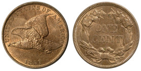 Vereinigte Staaten von Amerika. 
Cent 1857 Flying Eagle. . 

Fast Stempelglanz, uncirculated