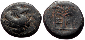 Troas, Skepsis AE (Bronze, 3.84g, 15mm) ca 400-310 BC. 
Obv: Forepart of Pegasos to left. 
Rev: Σ-Κ Palm tree; all within linear square. 
Ref: SNG Cop...