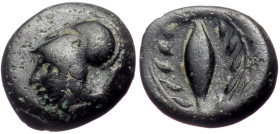 Aeolis, Elaia AE (Bronze, 1.27g, 10mm) ca 340-300 BC
Obv: Helmeted head of Athena to left
Rev: Barley-grain within wreath
Ref: BMC 126