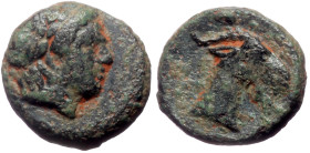 Aeolis, Aigai AE (Bronze, 1.08g, 10mm) ca 3rd century BC 
Obv: Laureate head of Apollo to right 
Rev: Head and neck of goat right. 
Ref: SNG Copenhage...