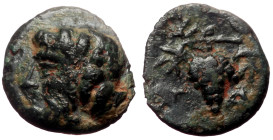 Aeolis, Temnos AE (Bronze, 0.85g, 10mm) ca 3rd century BC. 
Obv: Bearded head of Dionysos to left, wreathed with ivy 
Rev: Bunch of grapes; T-A across...