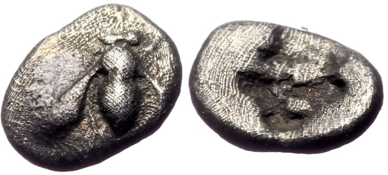 Ionia, Ephesos AR Hemiobol (Silver, 0.41g, 8mm) ca 550-500 BC. 
Obv: Bee; no bor...