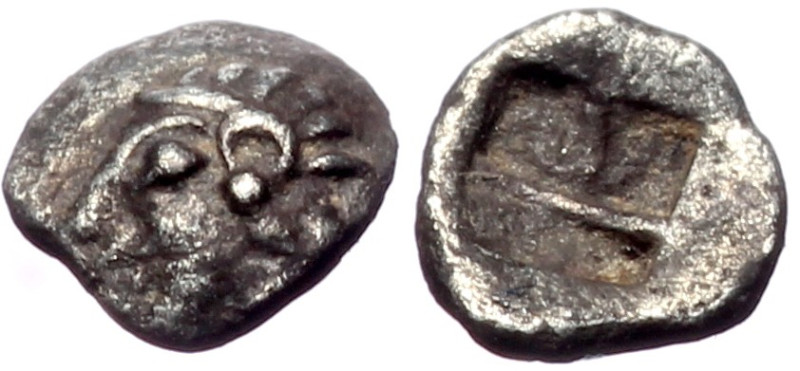 Ionia, Kolophon AR Tetartemorion (Silver, 0.13g, 5mm) late 6th cent. 
Obv: Archa...