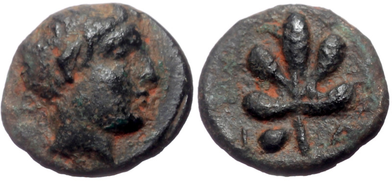 Caria, Idyma AE (Bronze, 0.90g, 10mm) ca 350-300 BC.
Obv: Female head right
Re...