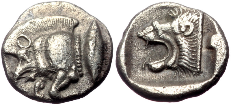 Mysia, Kyzikos AR Diobol (Silver, 1.14g, 10mm) ca 480 BC.
Obv: Forepart of boar...