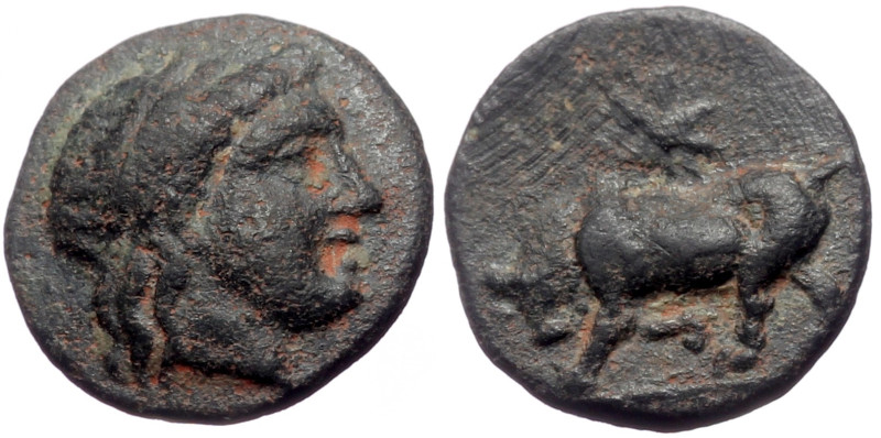 Mysia, Gambrion AE (Bronze, 0.78g, 10mm) 4th century BC
Obv: Laureate head of Ap...