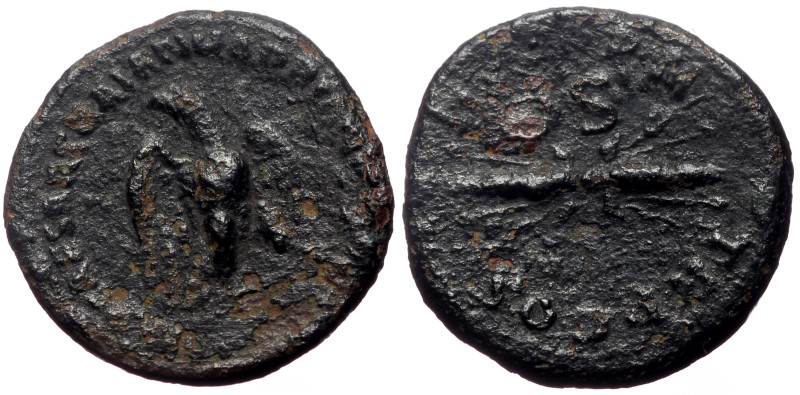 Hadrian (117-138) AE Quadrans (Bronze, 3.39g, 19mm) Rome.
Obv: IMP CAESAR TRAIAN...