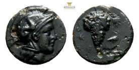 CILICIA. Soloi. Ae (Circa 4th century BC). 2 g. 13,6 mm.
Obv: Helmeted head of Athena right.
Rev: Grape bunch; star to left;
