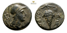 CILICIA. Soloi. Ae (Circa 4th century BC). 2 g. 13,6 mm.
Obv: Helmeted head of Athena right.
Rev: Grape bunch.