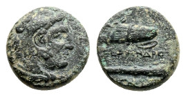 Kings of Macedon, Alexander III \'the Great\', AE, 336-323 BC. Uncertain mint. 5,8 g 16,3 mm.
Obv: Head of Herakles right, wearing lion skin.
Rev: Α...