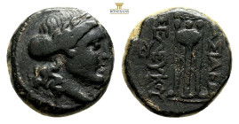 SELEUKID KINGS OF SYRIA. Seleukos I Nikator, 312-281 BC. (Bronze, 19,1 mm, 8,8 g, ), Antioch. Laureate head of Apollo to right. Rev. ΒΑΣΙΛΕΩΣ ΣΕΛΕΥΚΟΥ...