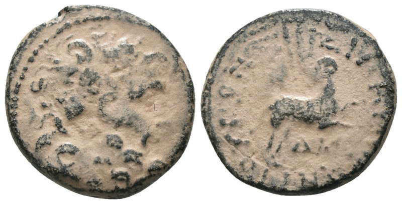 Seleucis and Pieria under Silanus. (12-13AD). Pseudo-autonomous Bronze Æ. Antioc...