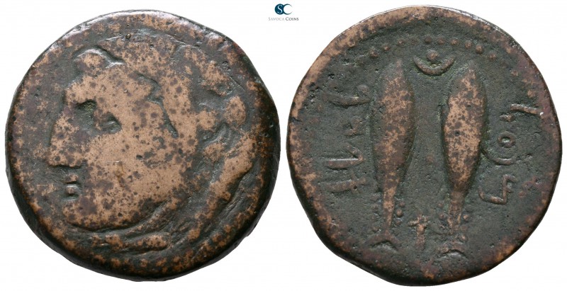 Iberia. Gades circa 40-20 BC. 
Bronze Æ

25mm., 10,81g.



very fine