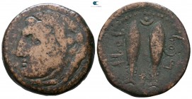 Iberia. Gades circa 40-20 BC. Bronze Æ