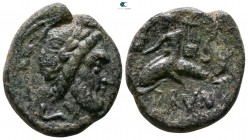 Apulia. Brundisium circa 250 BC. Bronze Æ