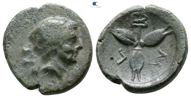 Lucania. Metapontion 225-200 BC. 
Bronze Æ

13mm., 2,79g.



very fine